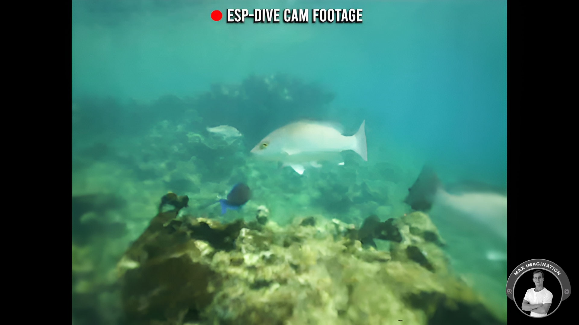 20251008092659_22--ESP-DIVE-s-FPV-Cam-Footage.jpg