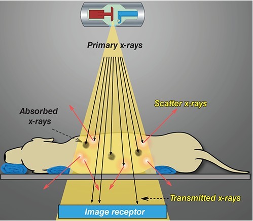 x-ray-principle.jpg